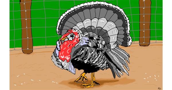 Drawing of Turkey by flowerpot - Drawize Gallery!