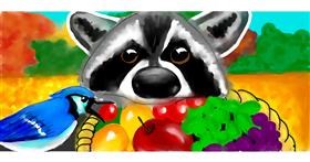 Drawing of Raccoon by Debbie 