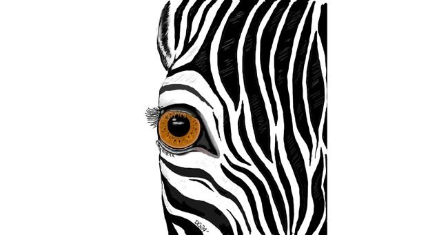 Drawing of Zebra by GreyhoundMama