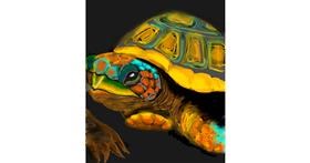 Drawing of Tortoise by Not.Old.Train