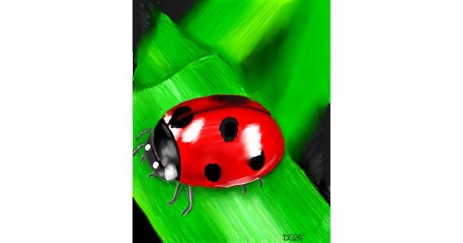 Drawing of Ladybug by GreyhoundMama