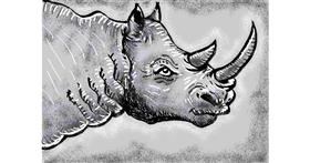 Drawing of Rhino by Jojo