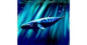 Drawing of Whale by Яandi