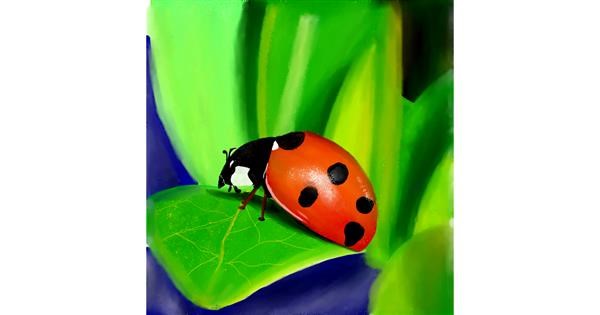 Drawing of Ladybug by Lou - Drawize Gallery!