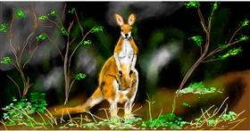 Drawing of Kangaroo by Eclat de Lune