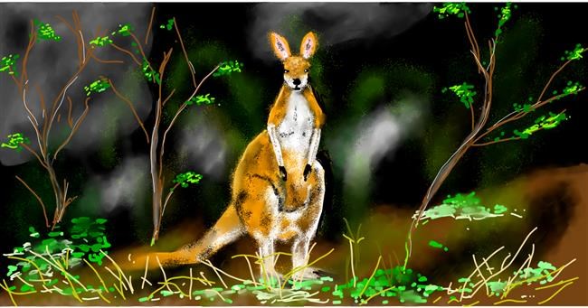 Drawing of Kangaroo by Eclat de Lune