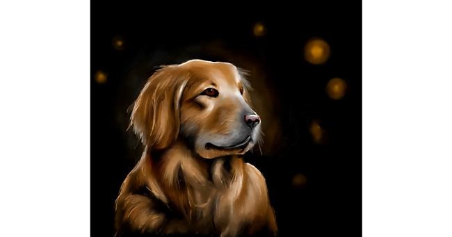 Drawing of Dog by Randi