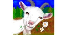 Drawing of Goat by Yasi