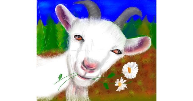 Drawing of Goat by Yasi