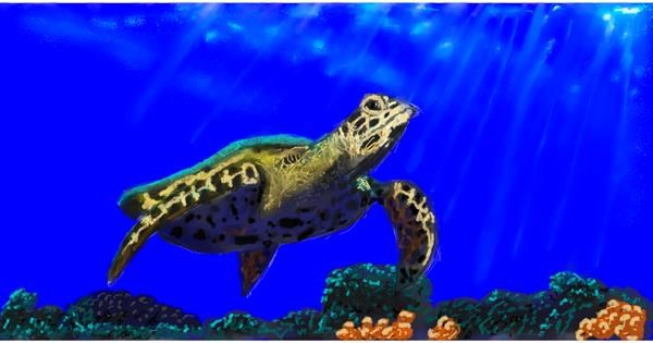 Drawing of Sea turtle by Humo de copal - Drawize Gallery!