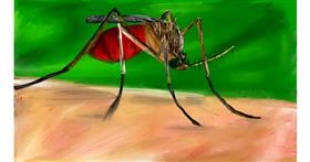 Drawing of Mosquito by Mia