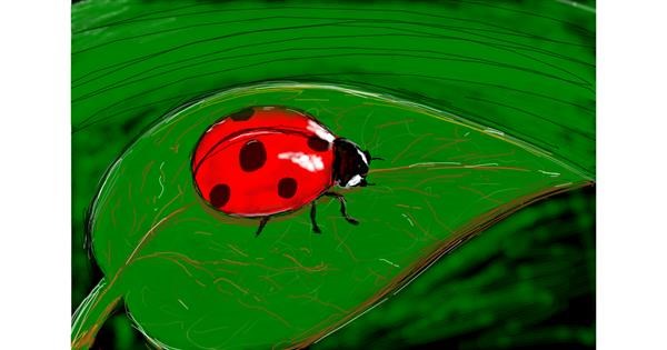 Drawing of Ladybug by Tami - Drawize Gallery!