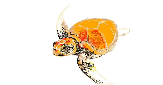 Drawing of Sea turtle by grinch