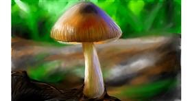 Drawing of Mushroom by Mia