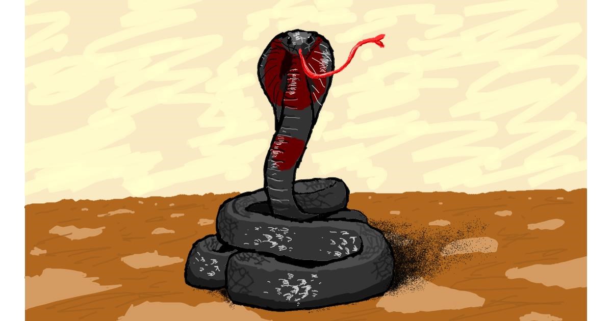 Snake Drawing By Sam Drawize Gallery