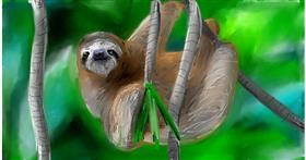 Drawing of Sloth by Mia