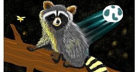 Drawing of Raccoon by Niny