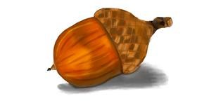 Drawing of Acorn by DebbyLee