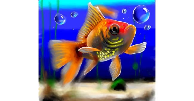 Drawing of Fish by Randi