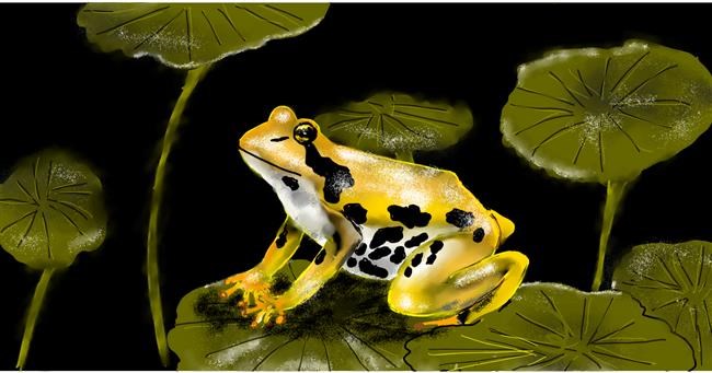 Drawing of Frog by Eclat de Lune