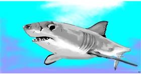 Drawing of Shark by Swimmer 