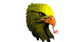 Drawing of Eagle by Arif