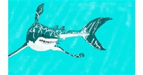 Drawing of Shark by Kiwi