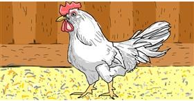 Drawing of Rooster by Swimmer