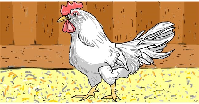 Drawing of Rooster by Swimmer