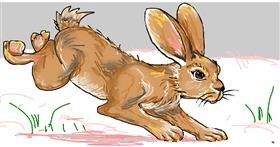 Drawing of Bunny by Swimmer 