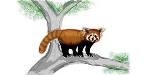 Drawing of Red Panda by Rhonda