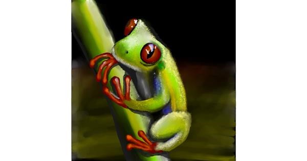 Frog Drawing - Gallery and How to Draw Videos!