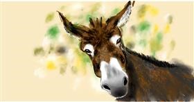 Drawing of donkey by Eclat de Lune