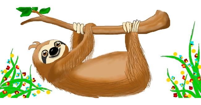 Drawing of Sloth by DebbyLee