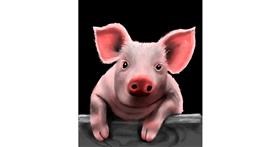 Drawing of Pig by Randi