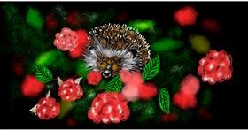 Drawing of Hedgehog by Eclat de Lune
