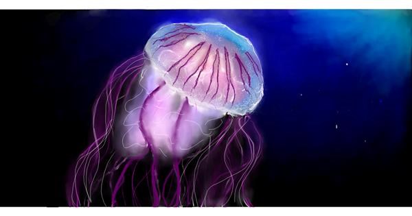 Drawing of Jellyfish by ~SHINOBU~ - Drawize Gallery!