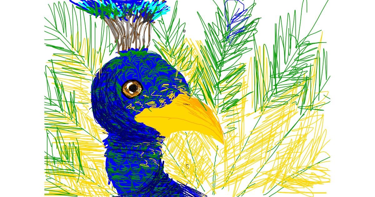Download Peacock Drawing by Vixie - Drawize Gallery!