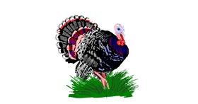 Drawing of Turkey by Soh