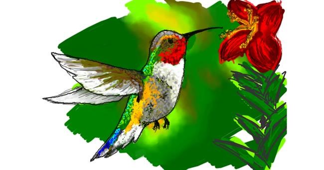 Drawing of Hummingbird by emrys