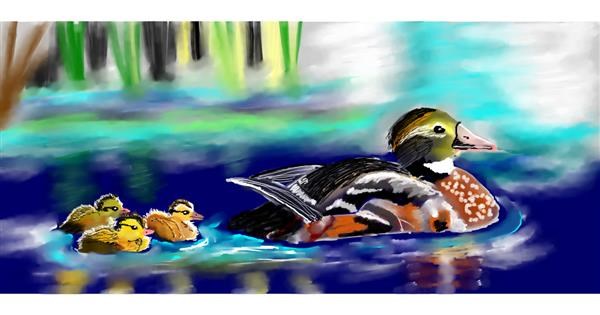 Drawing of Duck by Kim - Drawize Gallery!