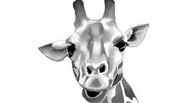 Drawing of Giraffe by ImagineBastille