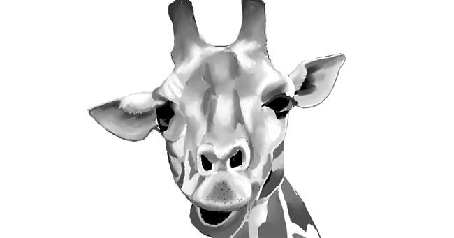 Drawing of Giraffe by ImagineBastille