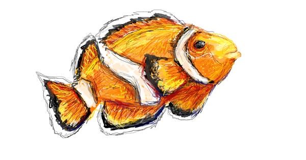 Fish Drawing - Gallery and How to Draw Videos!