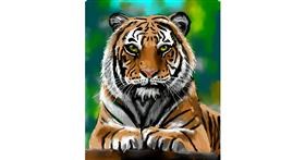 Drawing of Tiger by Randi