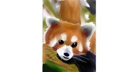 Drawing of Red Panda by Moby 