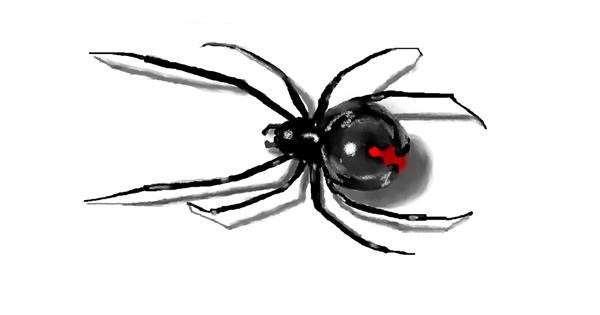 Drawing of Spider by Debidolittle - Drawize Gallery!