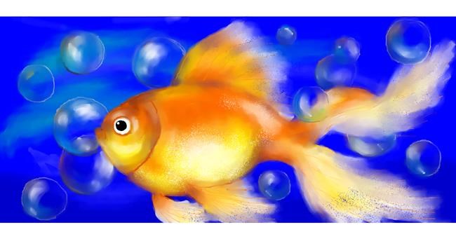 Drawing of Goldfish by DebbyLee