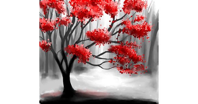 Drawing of Tree by Randi