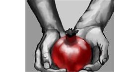 Drawing of Pomegranate by ImagineBastille